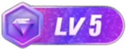 等级-LV5 - 刹那资源网