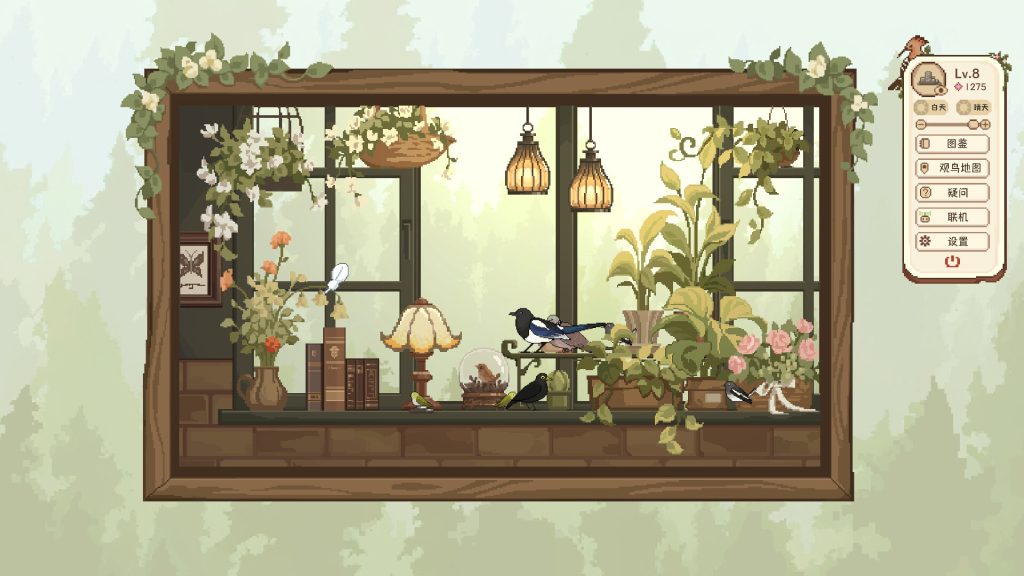 观鸟笔记