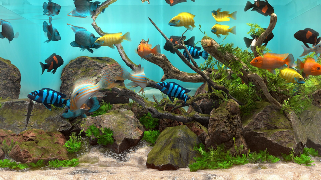 玻璃背后:水族馆模拟器